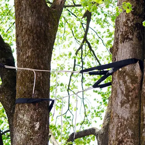 branching and cabling